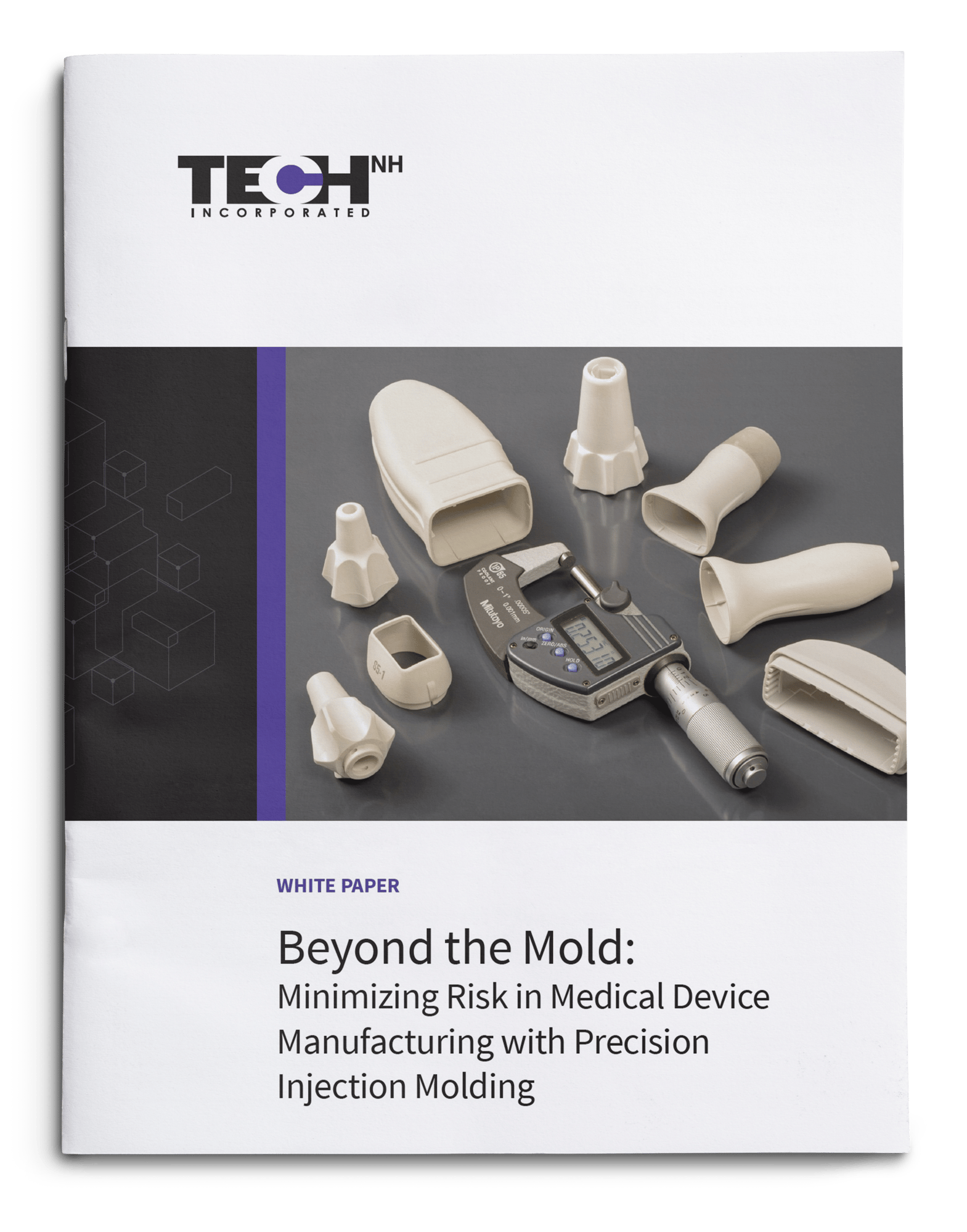 Beyond the Mold - TechNH